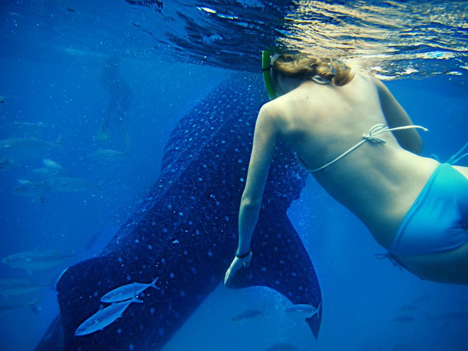 Quotes to Ignite Adventure | Art Therapy with Kimberly