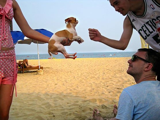 10518685_875326604358_330364159264506219_n