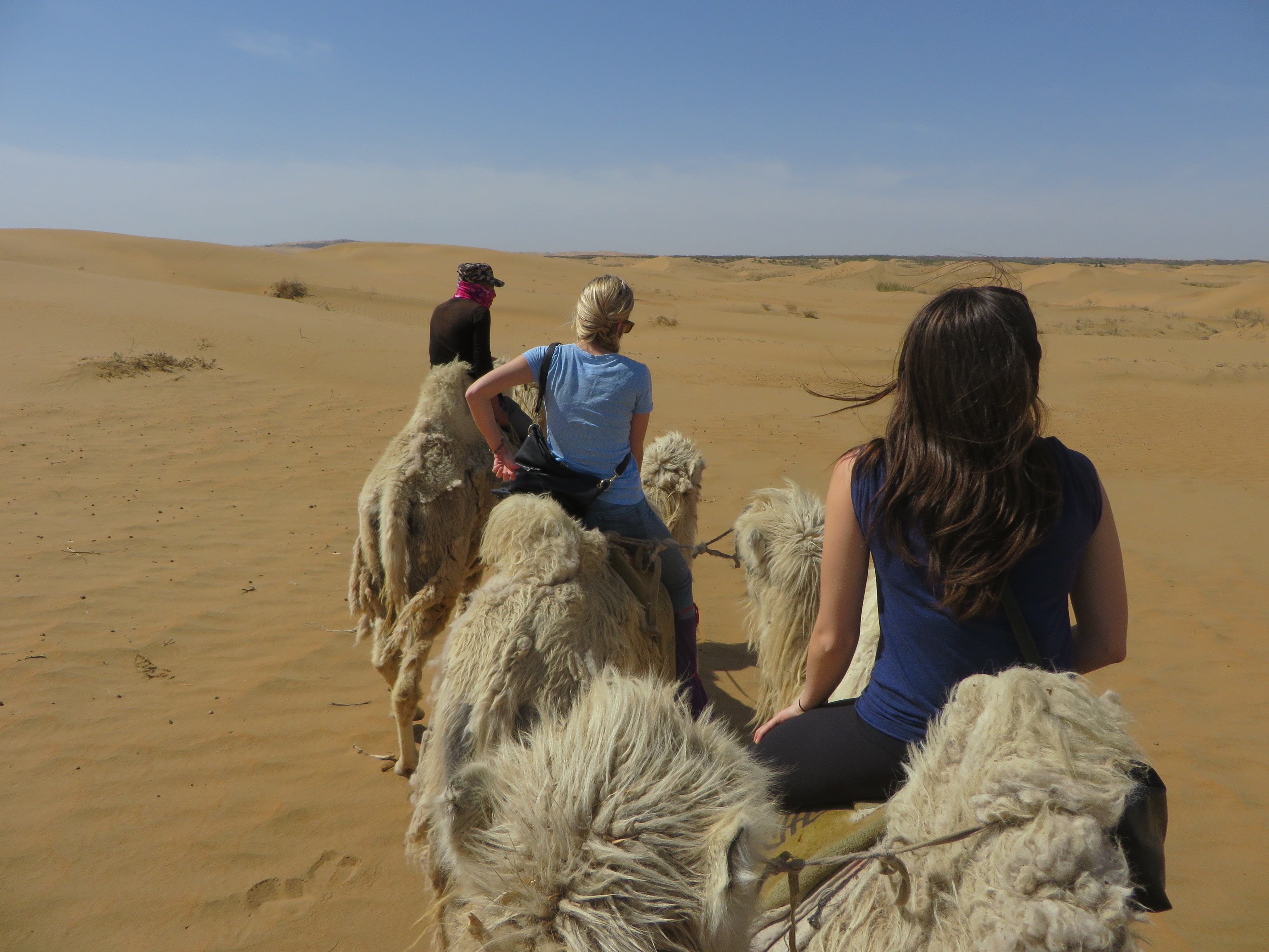 Camel riding in Inner Mongolia, Kimberly & Taylor Hetherington | Art Therapy with Kimberly
