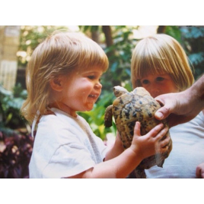 Keops, Kefren and My Carpet | Art Therapy with Kimberly