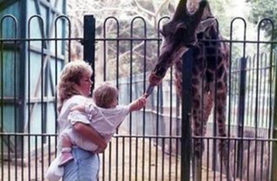 Cairo memories Elizabeth | Kimberly Hetherington | Art Therapy with Kimberly