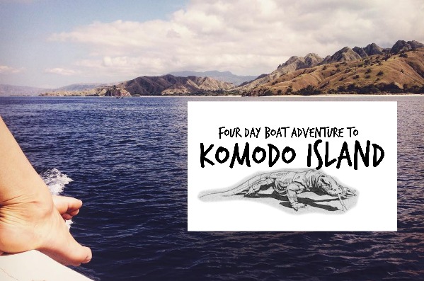 4 day boat adventure to Komodo Island | One month backpacking in Indonesia | Art Therapy with Kimberly