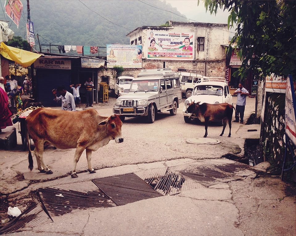 Rishikesh, India| Kimberly Hetherington | Art Therapy with Kimberly