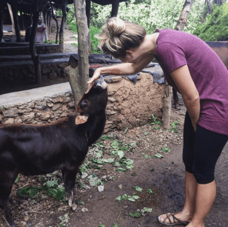 petting cows in Rishikesh, India | Kimberly Hetherington | Art Therapy with Kimberly