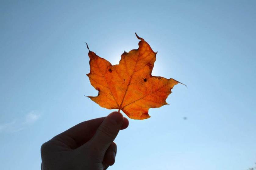 Happy Thanksgiving, a post for Elizabeth | Kimberly Hetherington | Art Therapy with Kimberly