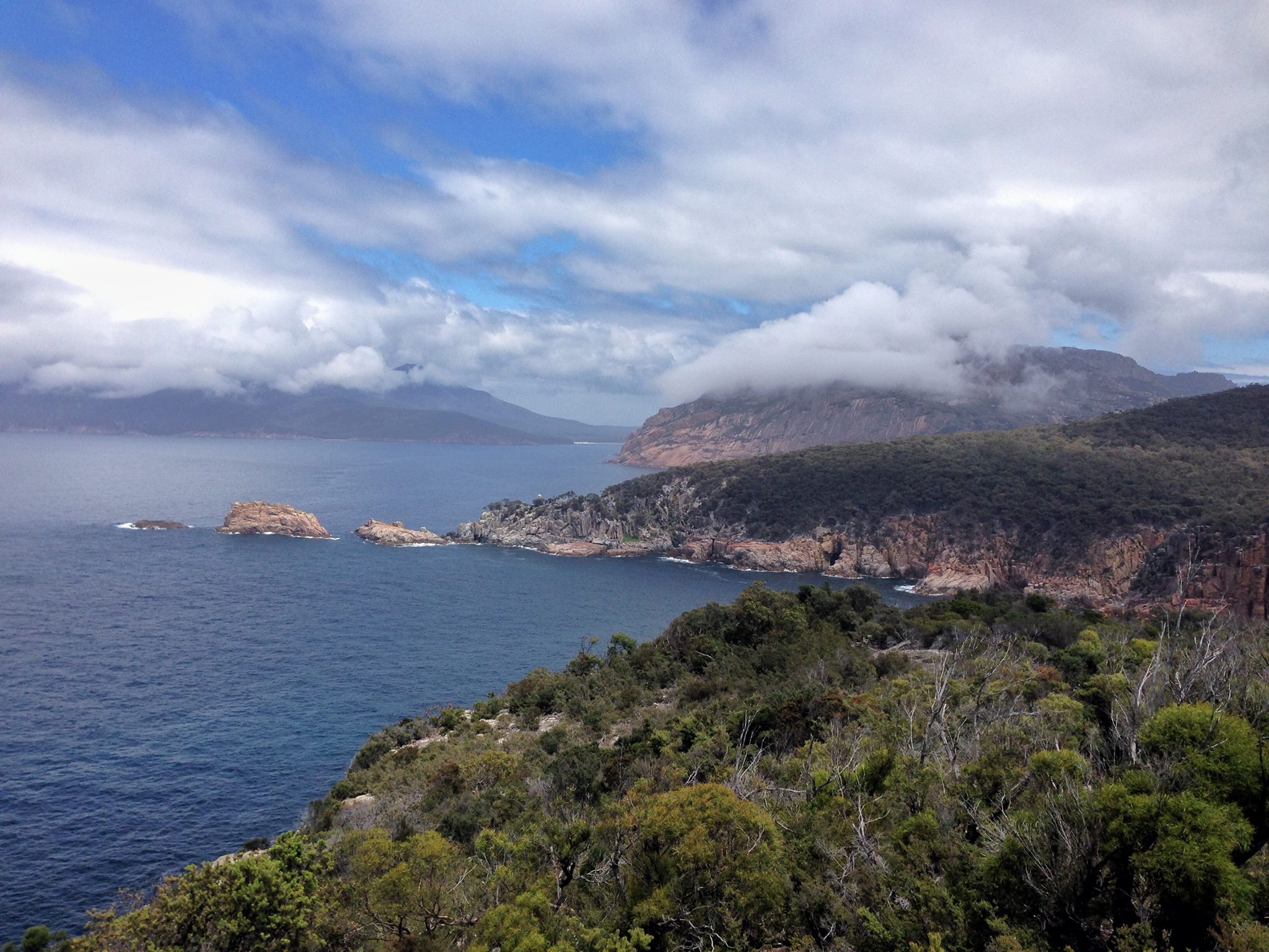 15800137_10100258177604858_507740481184748540_o