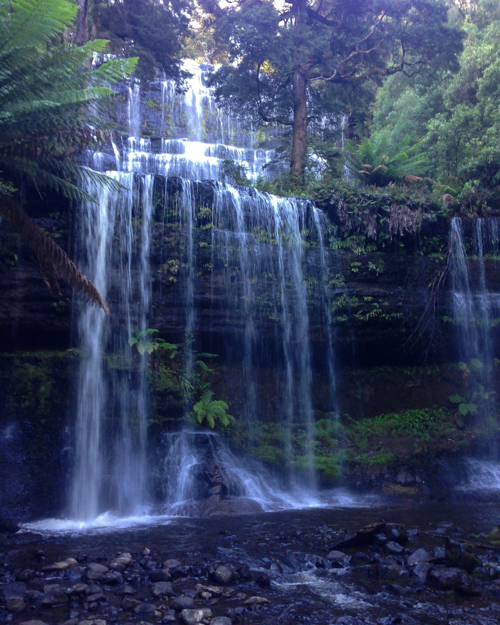 15844402_10100258178967128_5963566412410674845_o