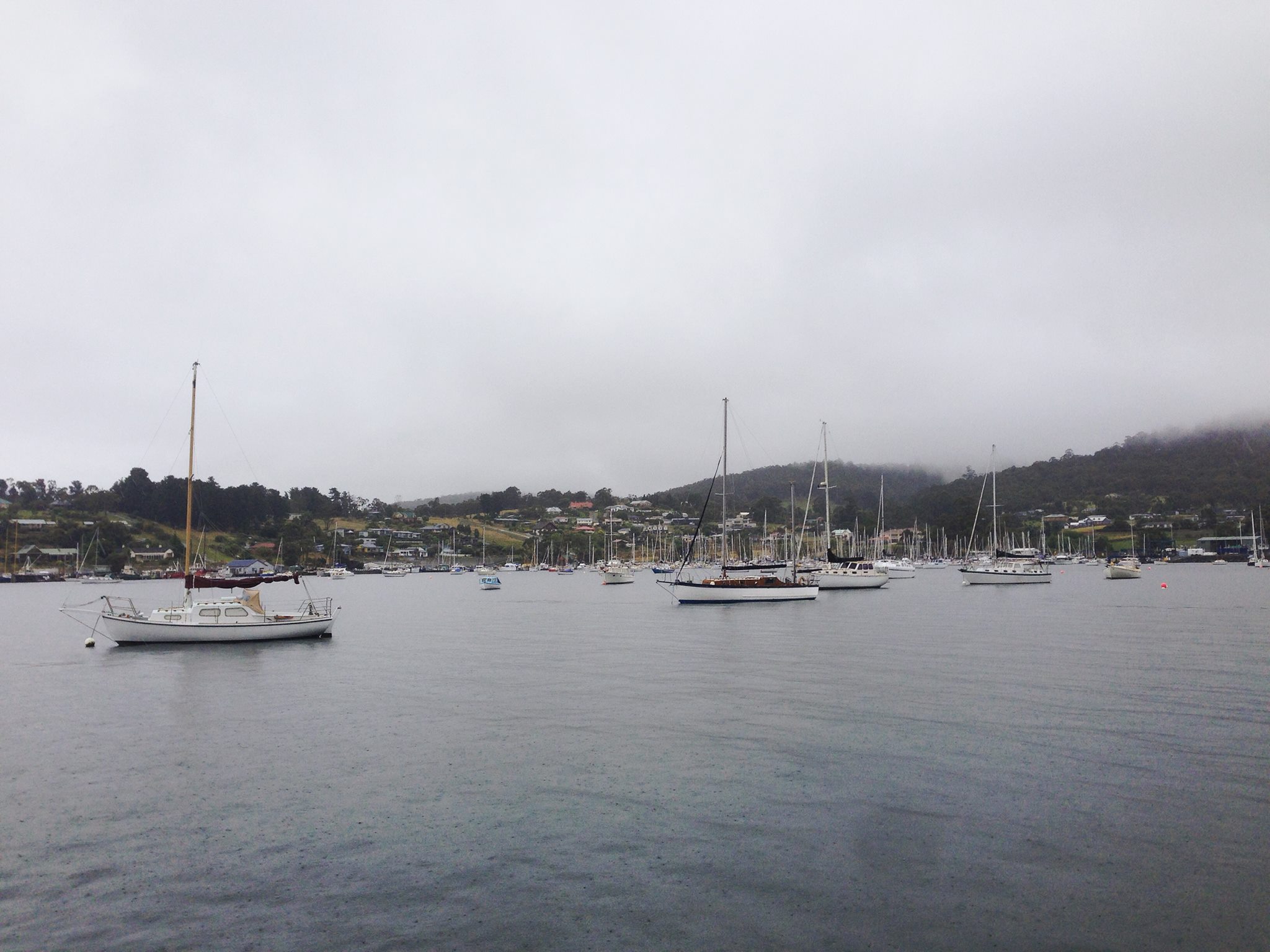 15875411_10100258172704678_6712892791901680806_o