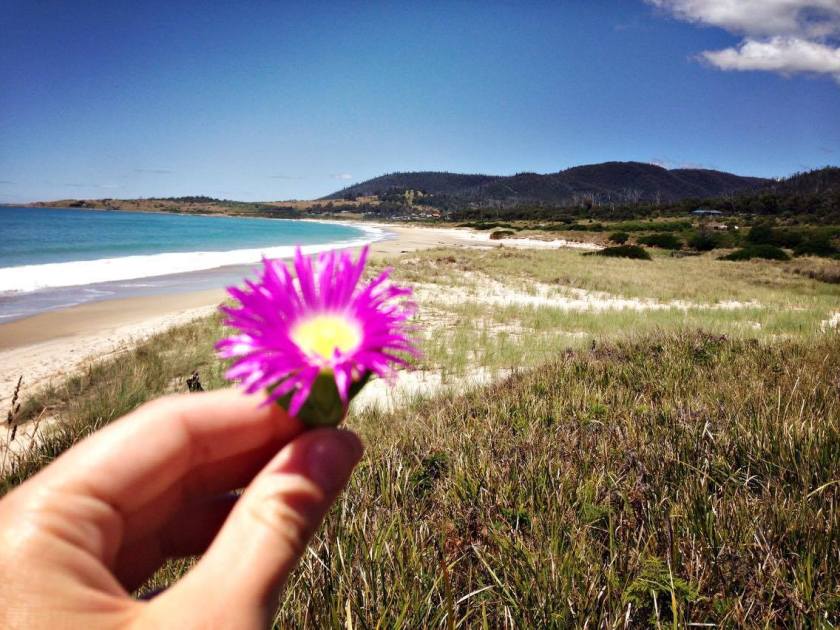 Cultivating Self-Compassion | Art Therapy with Kimberly