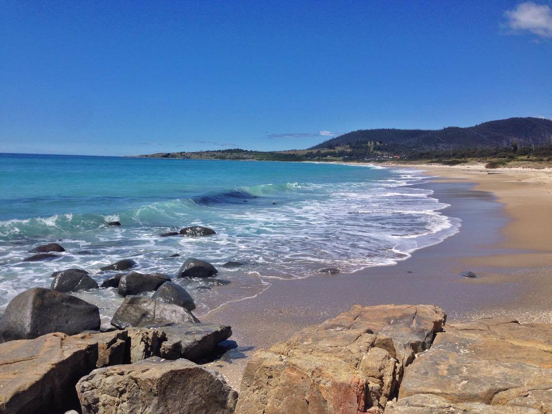 15966467_10100260242102588_1561859395_o