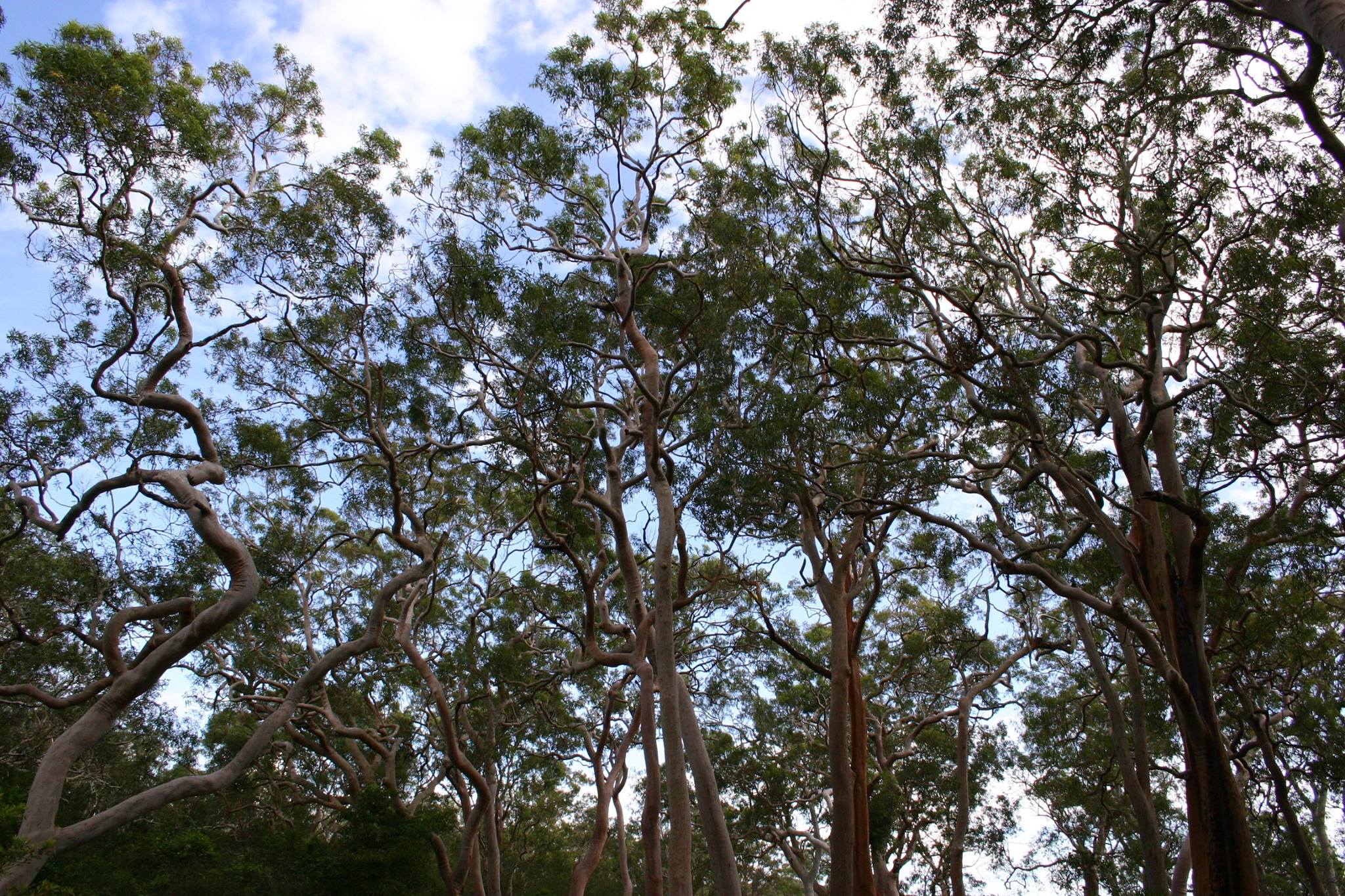 Sandbar caravan park