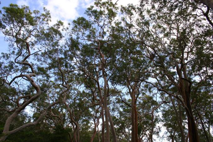 Sandbar caravan park