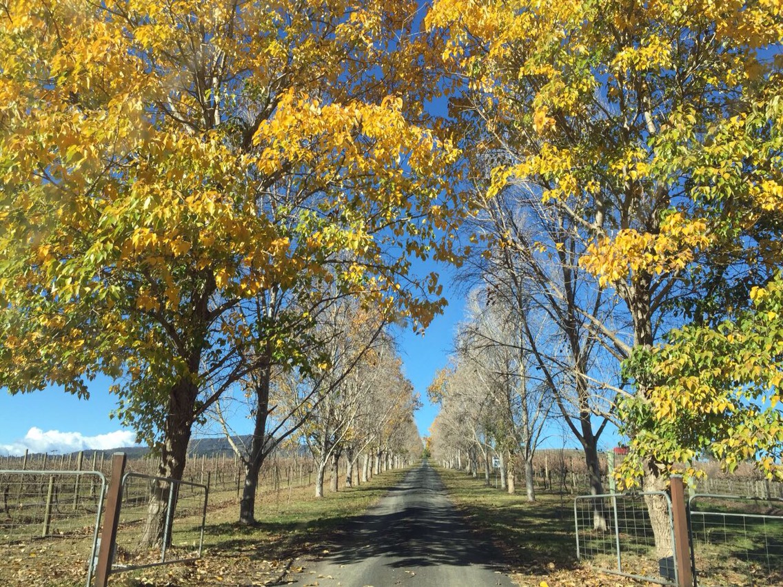 a weekend in Mudgee, NSW | Life After Elizabeth