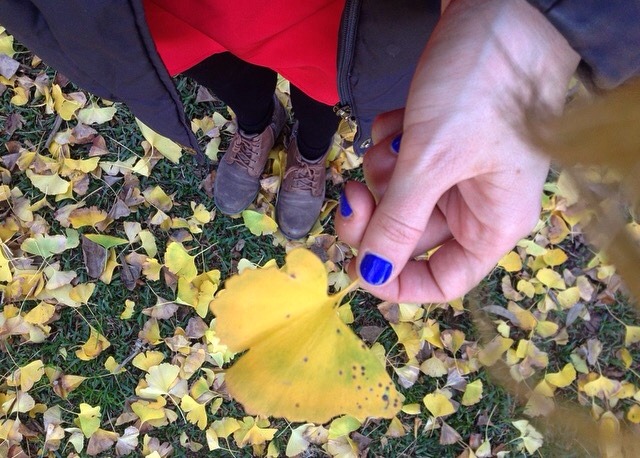 Autumn in Australia | Kimberly Hetherington | Art Therapy with Kimberly