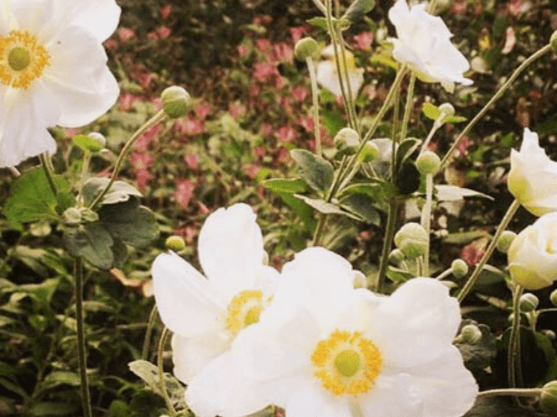 10 things to let&nbsp;go