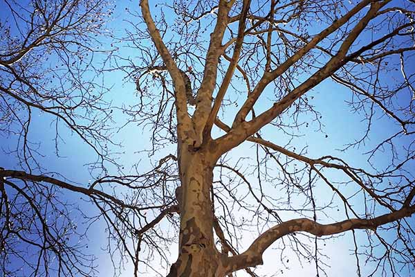 begin again | Kimberly Hetherington | Art Therapy with Kimberly