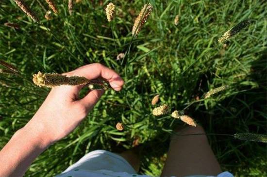 simple grounding exercise