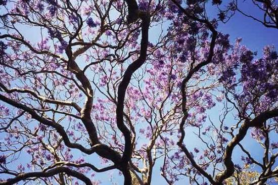 Words of Inspiration | Kimberly Hetherington | Art Therapy with Kimberly