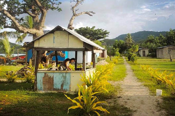 When Great Trees Fall - Maya Angelou