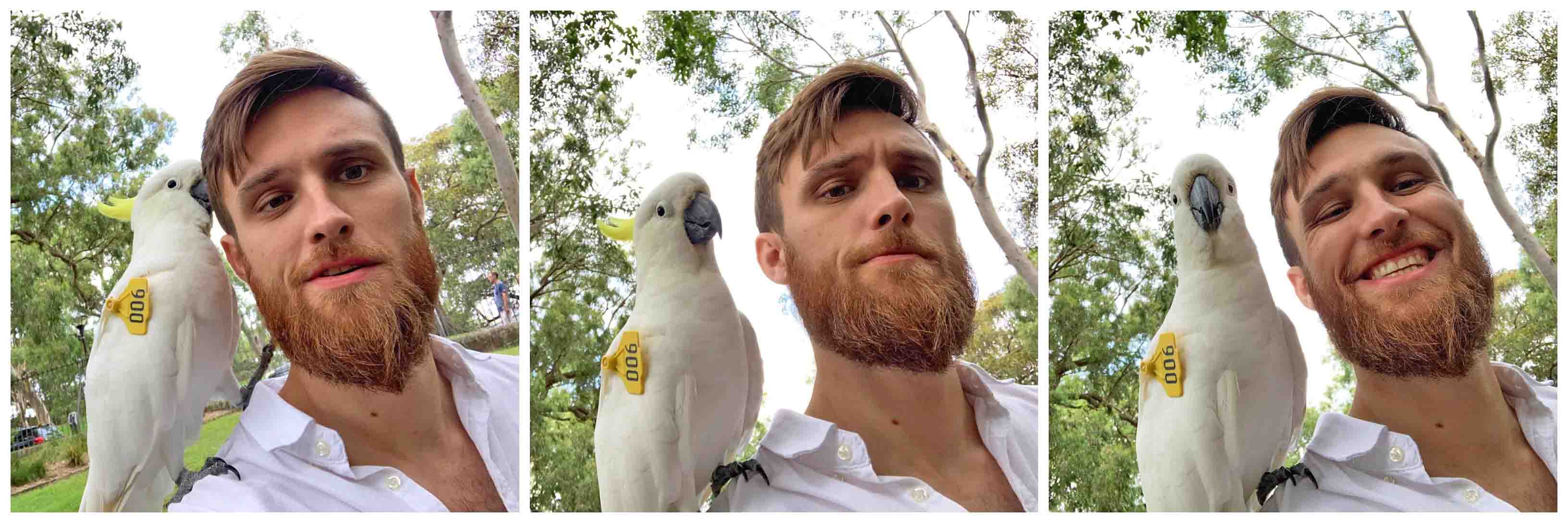 Mathieu de Chalvron | 28 days of gratitude