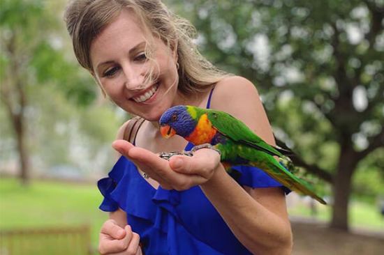 Feeding rainbow lorikeets | Kimberly Hetherington