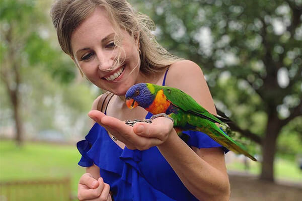 Feeding rainbow lorikeets | Kimberly Hetherington