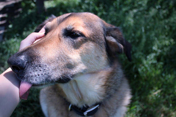 Sabre Hetherington | Life After Elizabeth