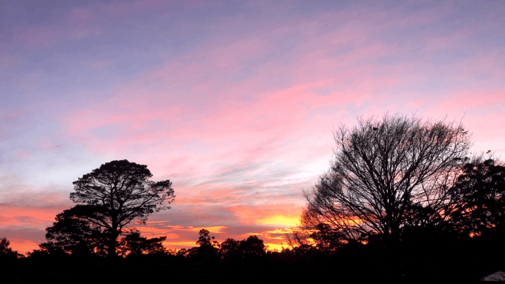 If you don't want to die, why do you want to live? | Kimberly Hetherington