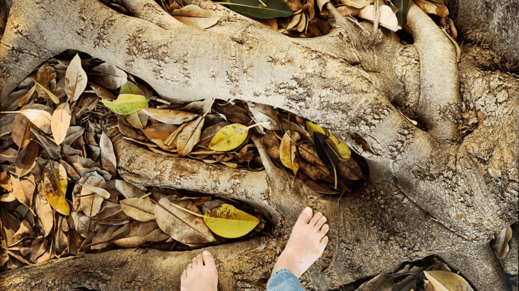 An Ode to Autumn | Kimberly Hetherington