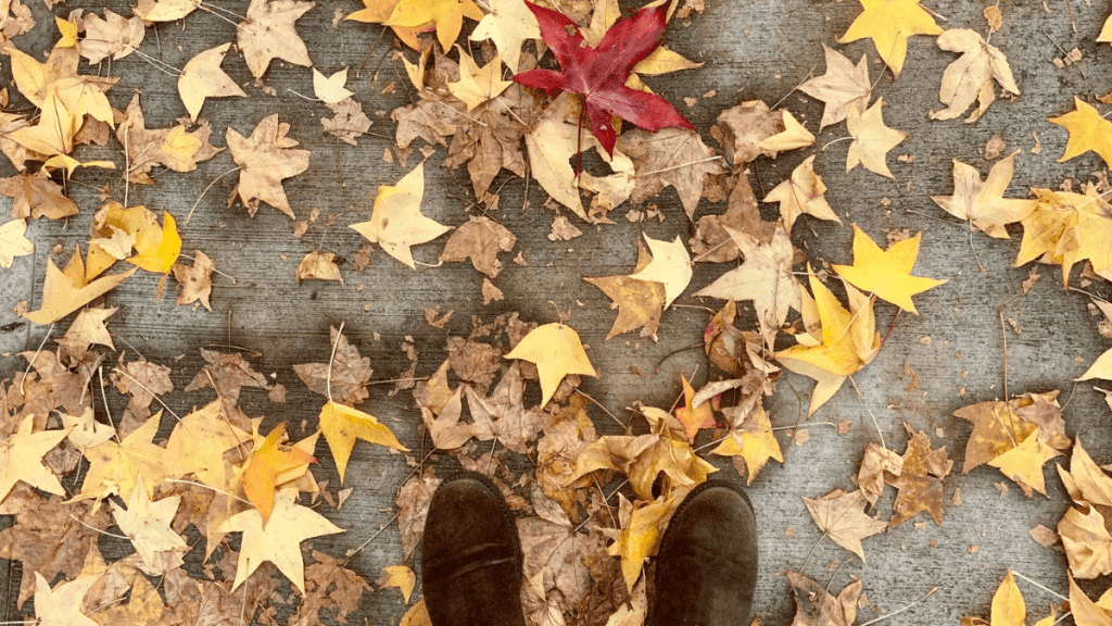 How we spend our days is how we spend our lives | Art Therapy with Kimberly