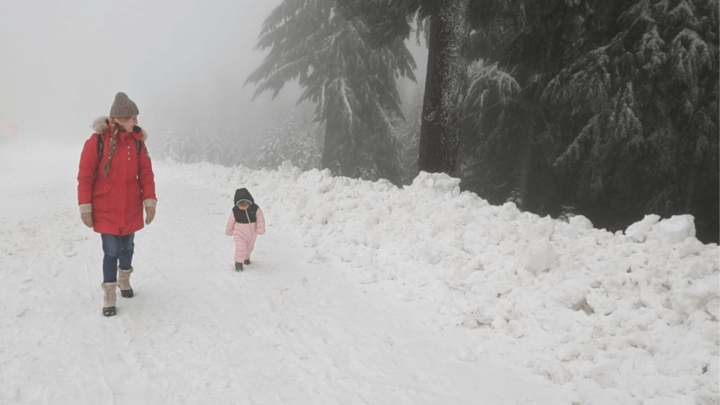 The Vortex of Motherhood - Kimberly Hetherington