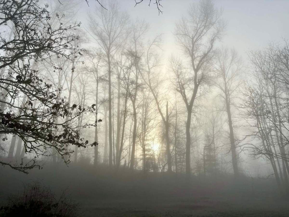 A simple way to feel&nbsp;better